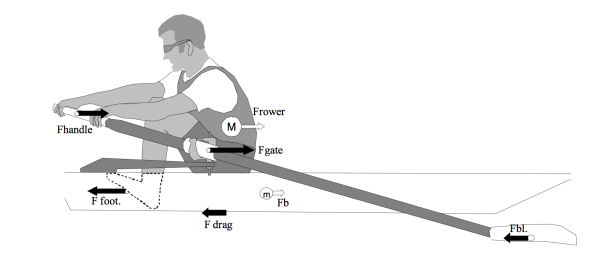 Main forces on a rowing boat. Source V. Kleshnev, Boat acceleration, temporal structure of the stroke cycle, and effectiveness in rowing